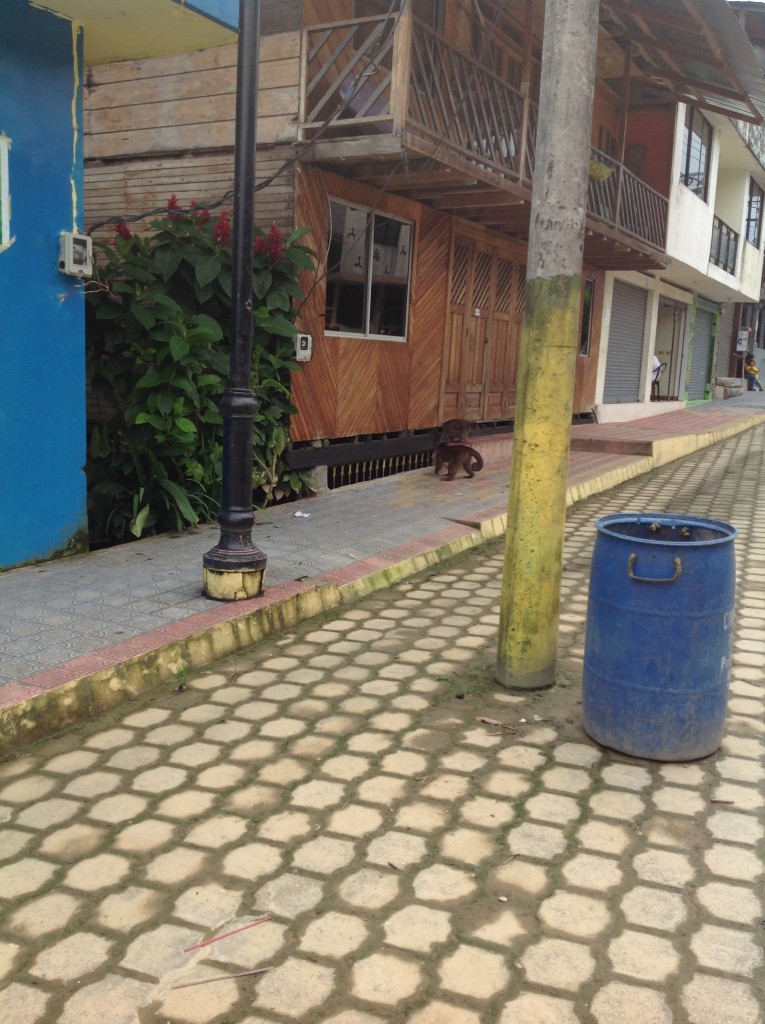 Foto: Comunidad Quichua - Misahualli (Napo), Ecuador