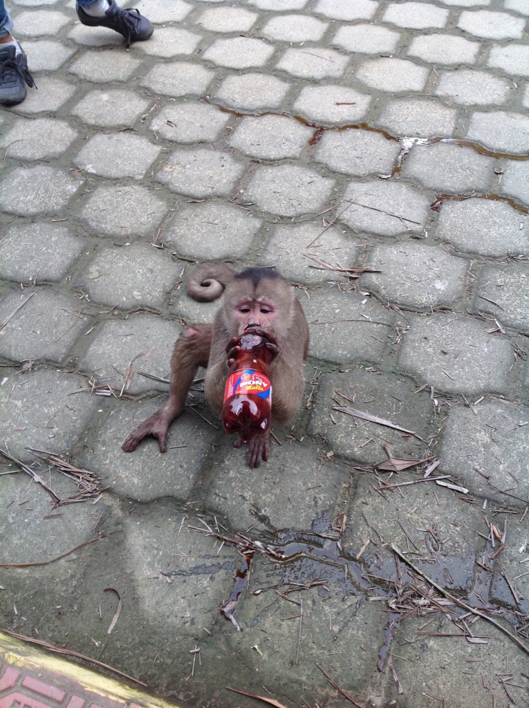 Foto: Comunidad Quichua - Misahualli (Napo), Ecuador