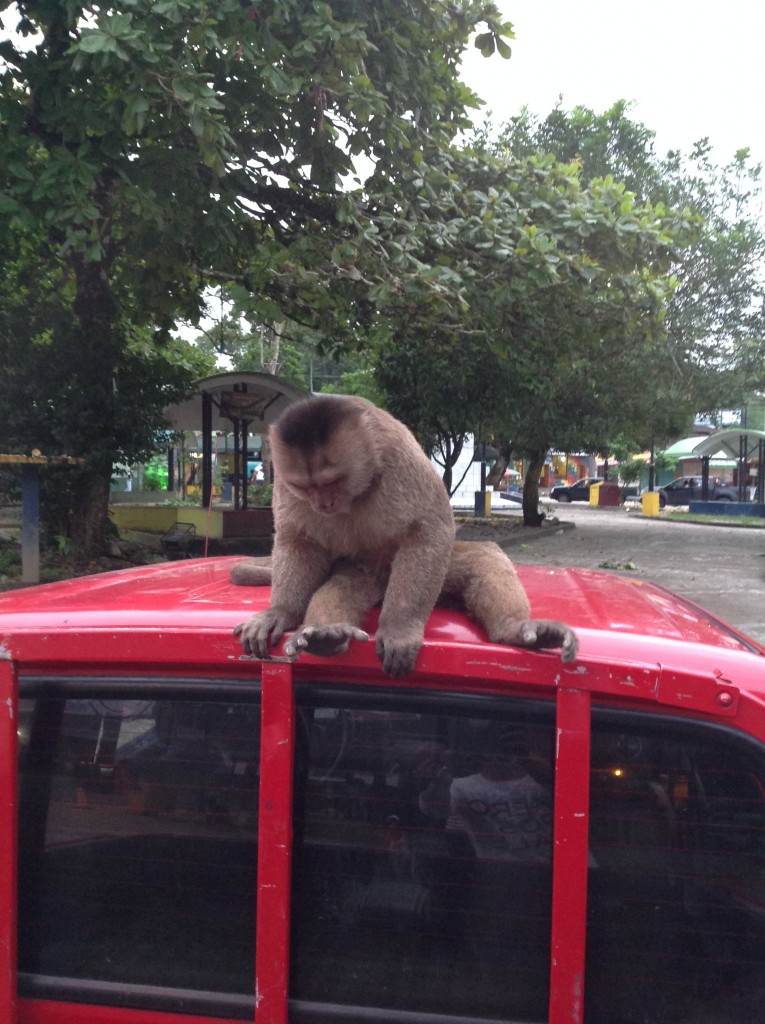 Foto: Comunidad Quichua - Misahualli (Napo), Ecuador