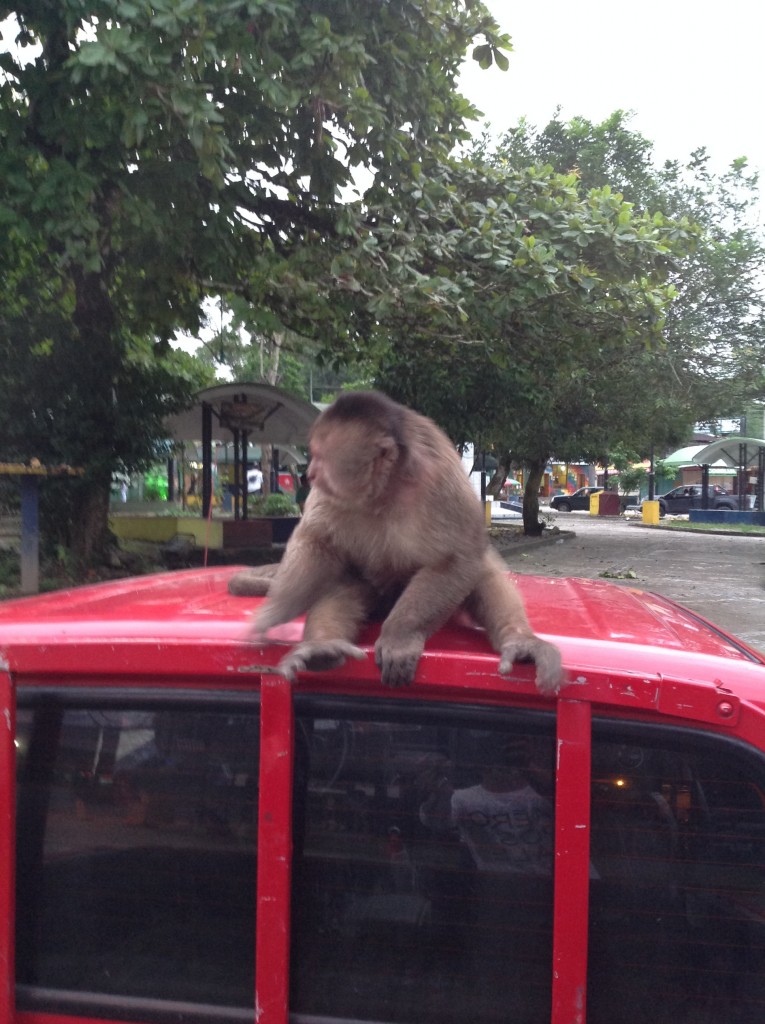 Foto: Comunidad Quichua - Misahualli (Napo), Ecuador