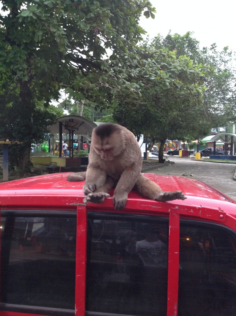 Foto: Comunidad Quichua - Misahualli (Napo), Ecuador