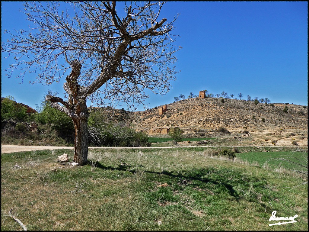 Foto: 170415-033 ALCONCHEL DE ARIZA - Alconchel De Ariza (Zaragoza), España