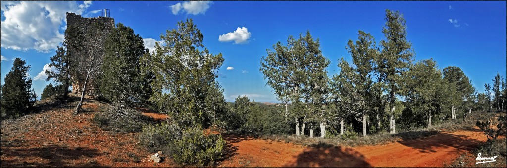 Foto: 170415-012 TORRETA DE SISAMON - Sisamon (Zaragoza), España