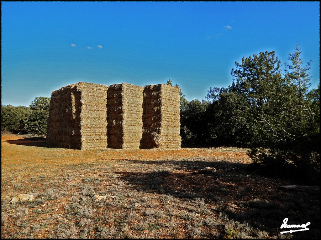 Foto: 170415-014 TORRETA DE SISAMON - Sisamon (Zaragoza), España