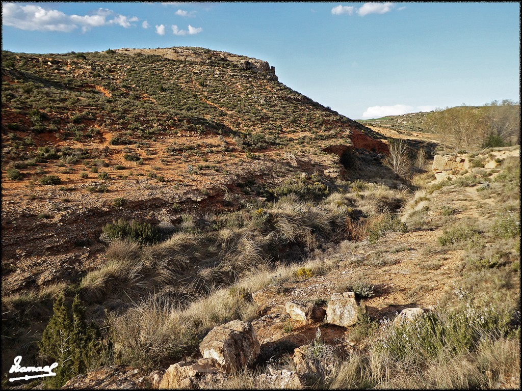 Foto: 170415-029 ALCONCHEL DE ARIZA - Alconchel De Ariza (Zaragoza), España