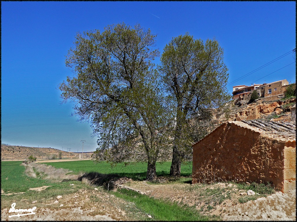 Foto: 170415-031 ALCONCHEL DE ARIZA - Alconchel De Ariza (Zaragoza), España