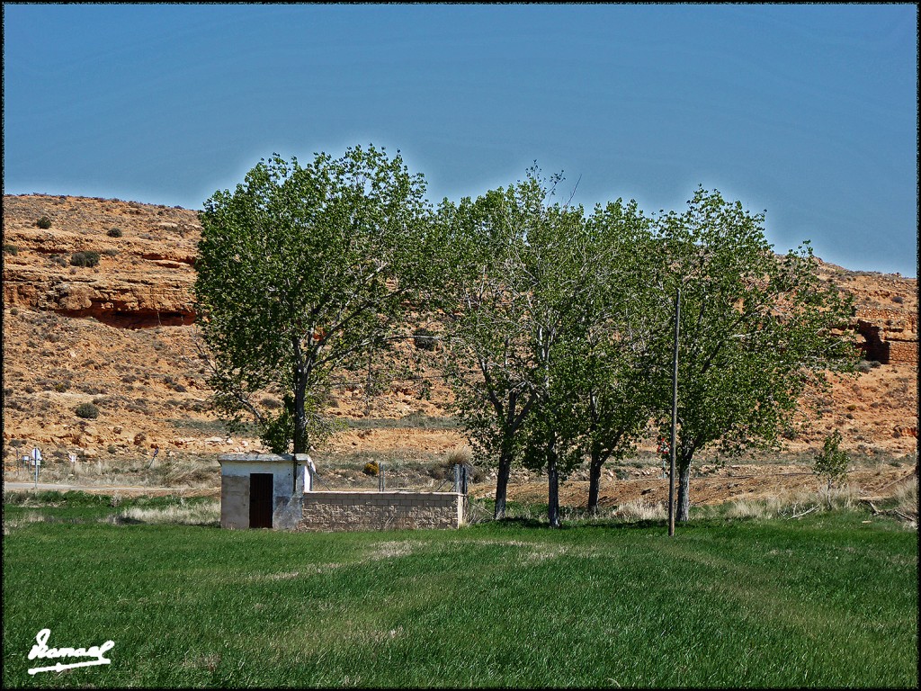 Foto: 170415-046 ALCONCHEL DE ARIZA - Alconchel De Ariza (Zaragoza), España