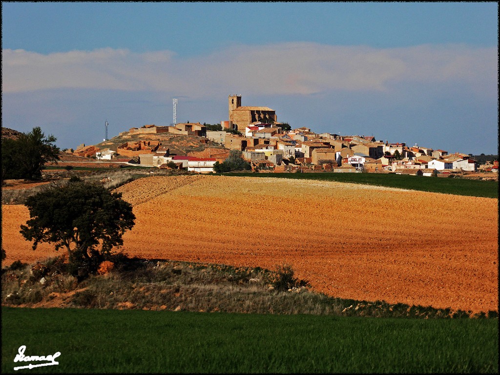 Foto: 170415-016 CABOLAFUENTE - Cabolafuente (Zaragoza), España