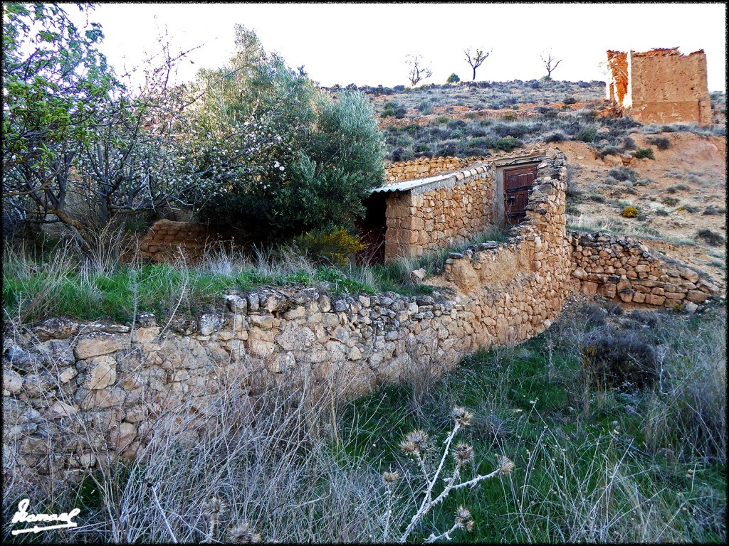 Foto: 170415-062 ALCONCHEL DE ARIZA - Alconchel De Ariza (Zaragoza), España