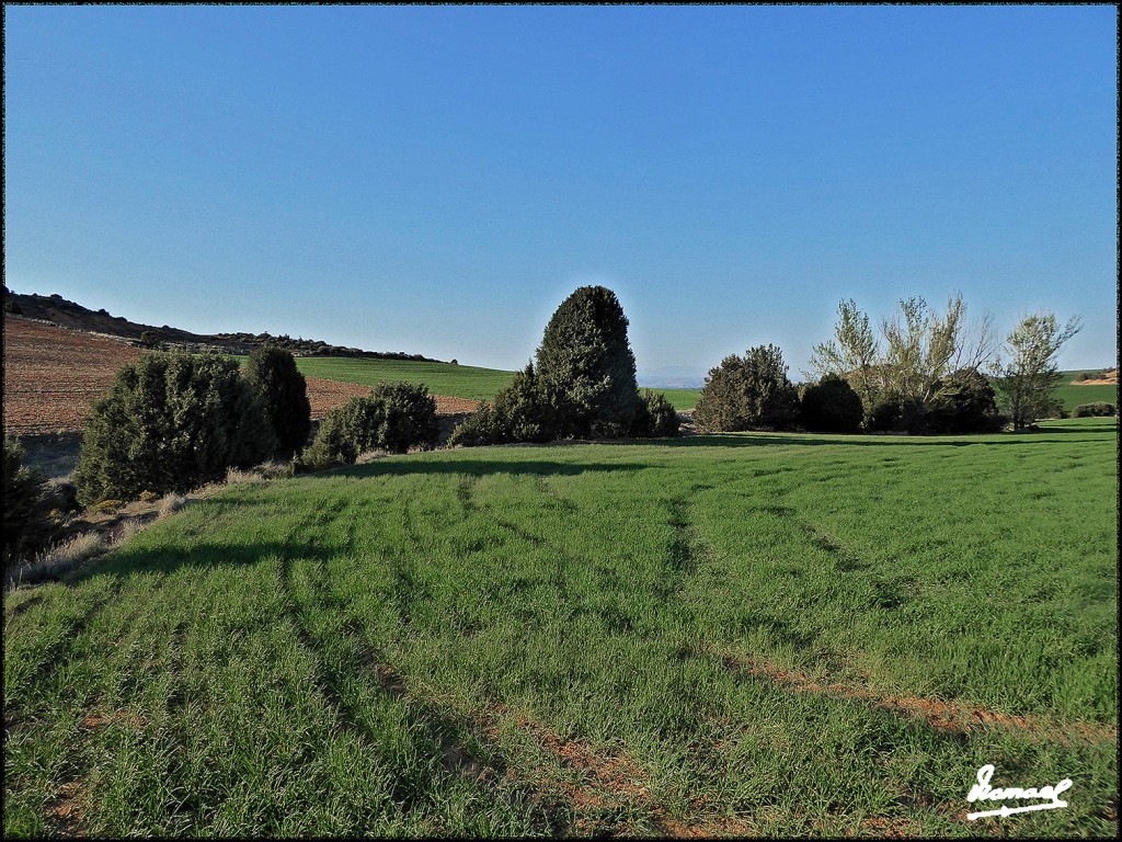 Foto: 170415-073 ALCONCHEL DE ARIZA - Alconchel De Ariza (Zaragoza), España