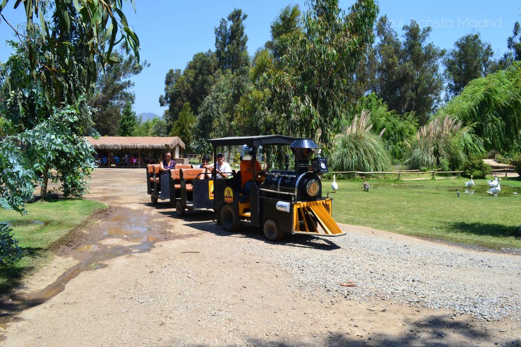 Foto de Rancagua (Libertador General Bernardo OʼHiggins), Chile