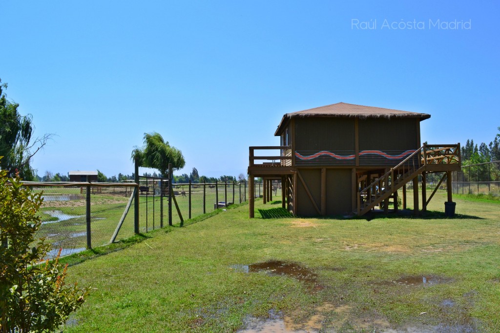 Foto de Rancagua (Libertador General Bernardo OʼHiggins), Chile