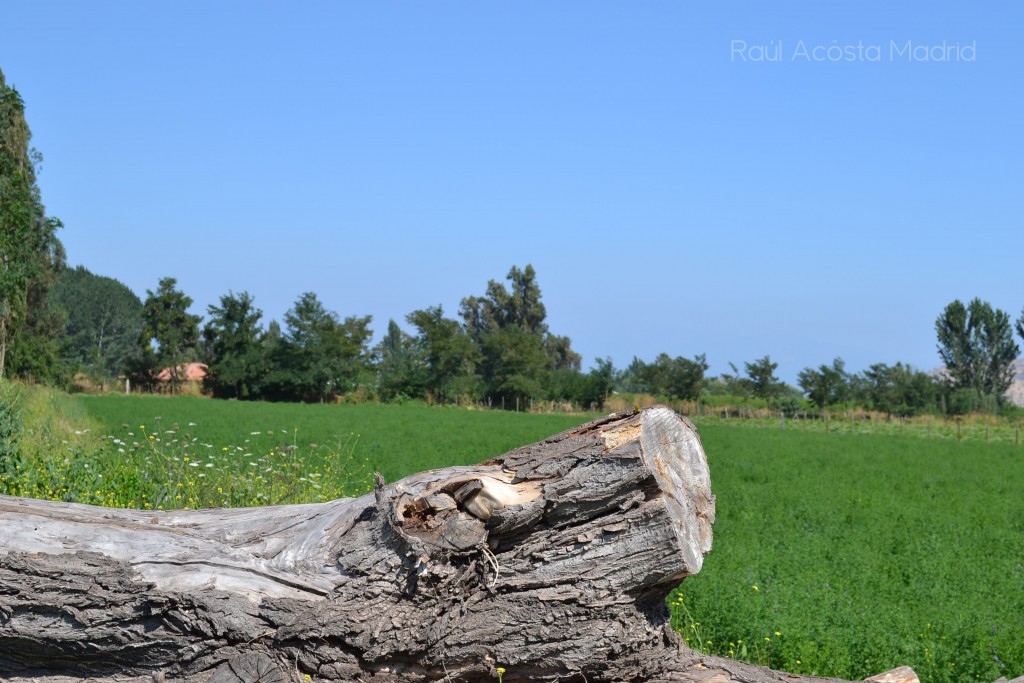 Foto de Lo Miranda (Libertador General Bernardo OʼHiggins), Chile