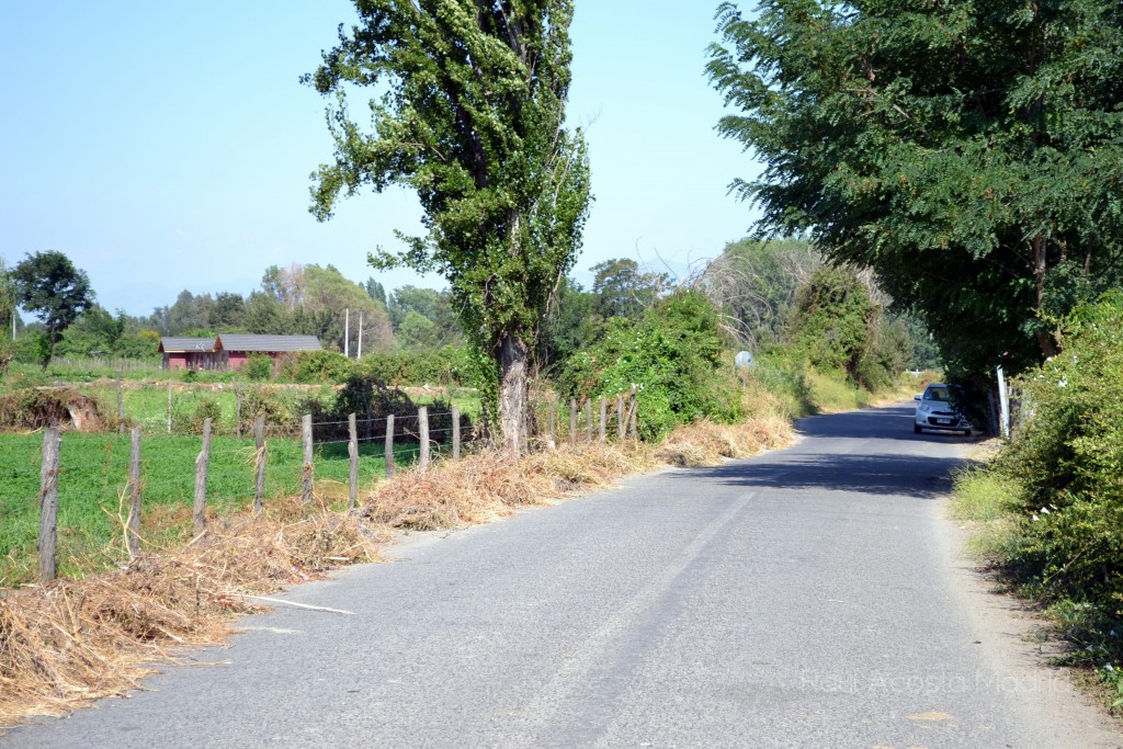 Foto de Lo Miranda (Libertador General Bernardo OʼHiggins), Chile