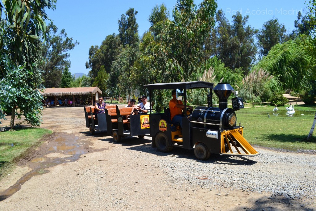 Foto de Rancagua (Libertador General Bernardo OʼHiggins), Chile