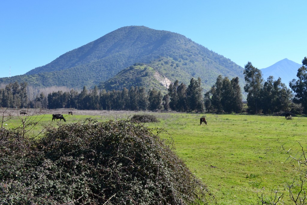 Foto de Lo Miranda (Libertador General Bernardo OʼHiggins), Chile