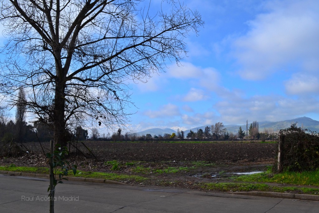 Foto de Coltauco (Libertador General Bernardo OʼHiggins), Chile