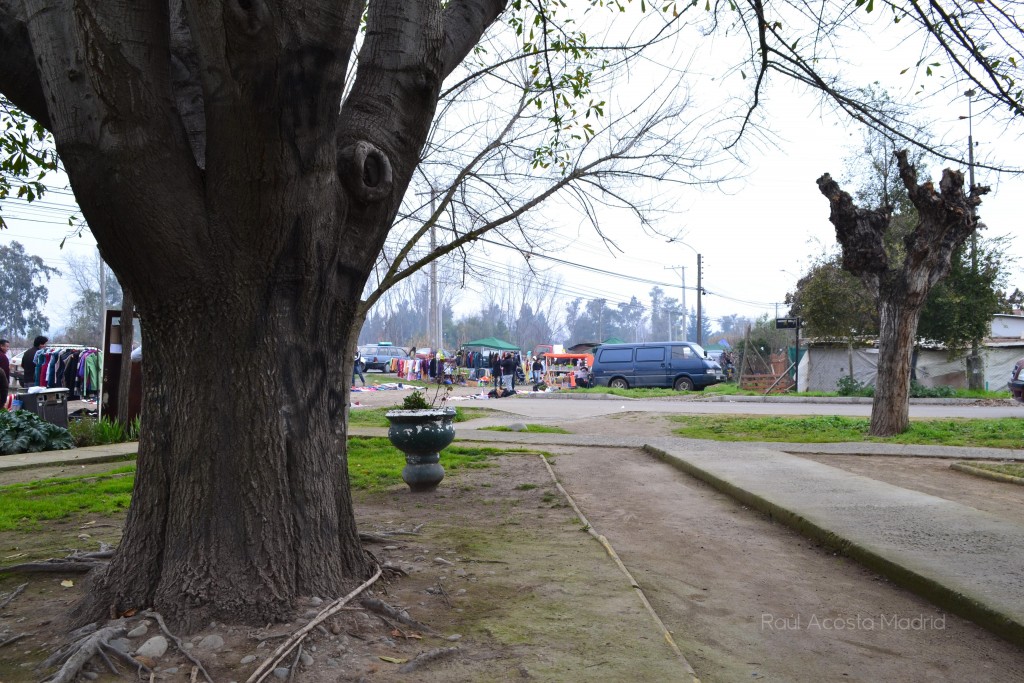 Foto de Lo Miranda (Libertador General Bernardo OʼHiggins), Chile