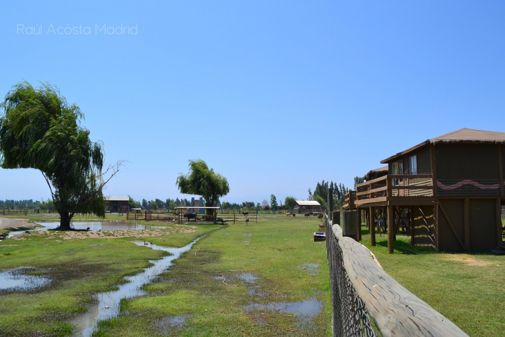 Foto de Rancagua (Libertador General Bernardo OʼHiggins), Chile