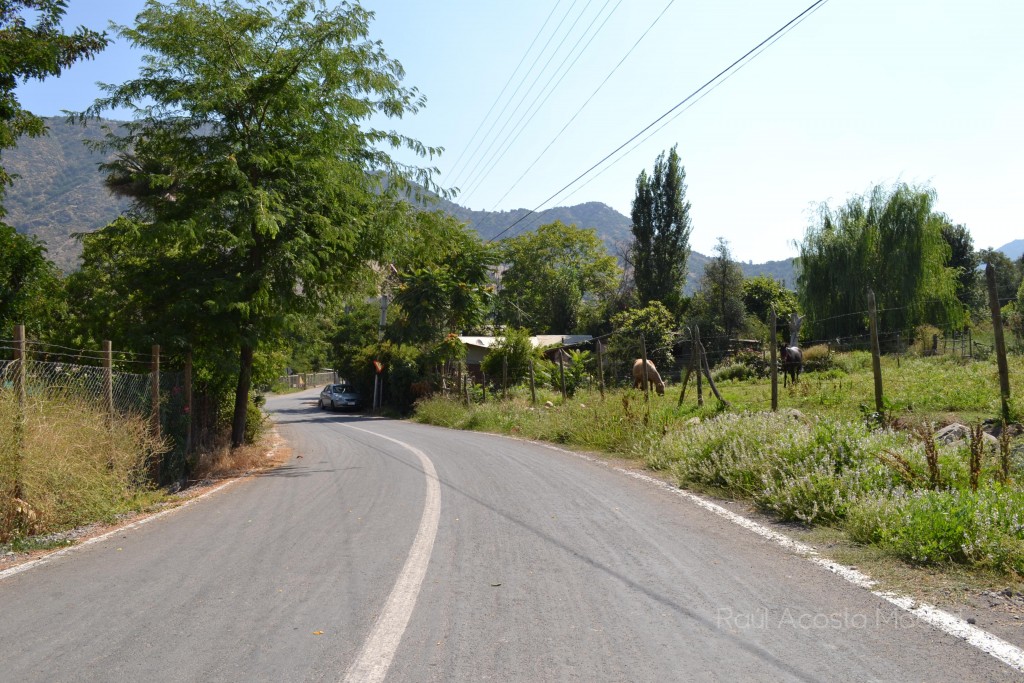 Foto de Lo Miranda (Libertador General Bernardo OʼHiggins), Chile
