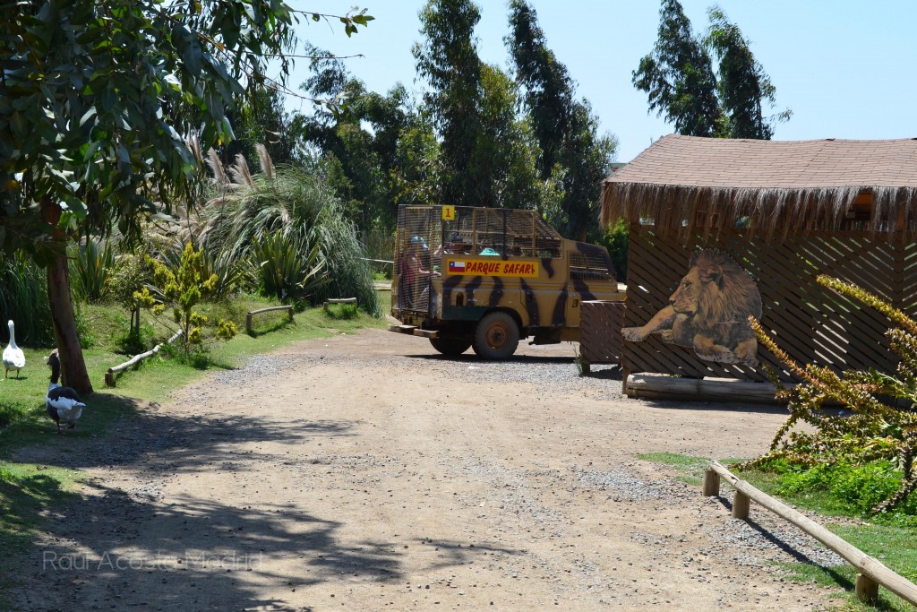 Foto de Rancagua (Libertador General Bernardo OʼHiggins), Chile