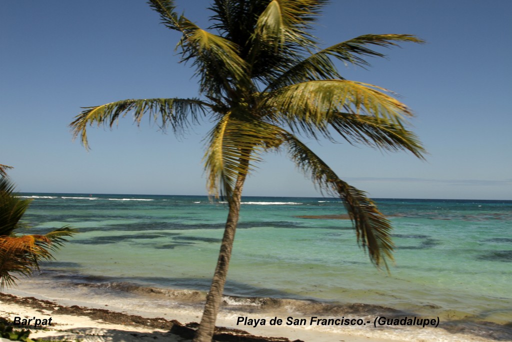 Foto de San Francisco, Guadalupe