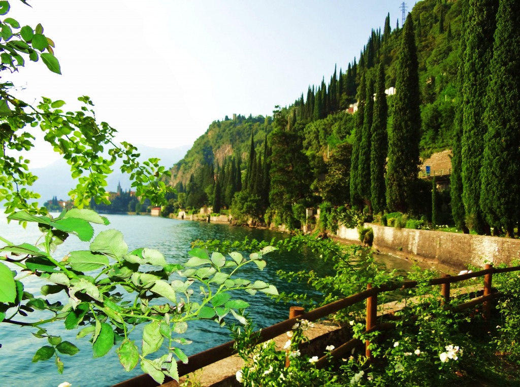Foto: Villa Monastero - Varenna (Lombardy), Italia
