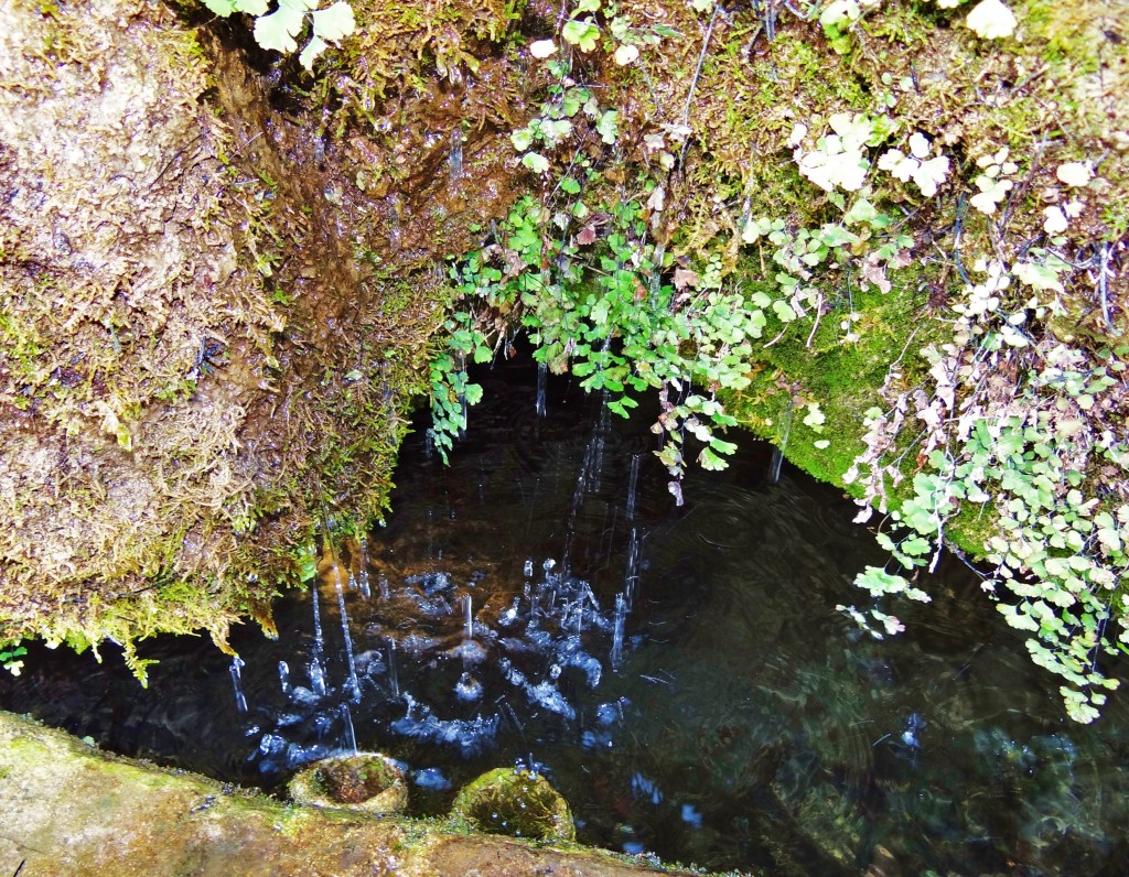 Foto: Villa Monastero - Varenna (Lombardy), Italia