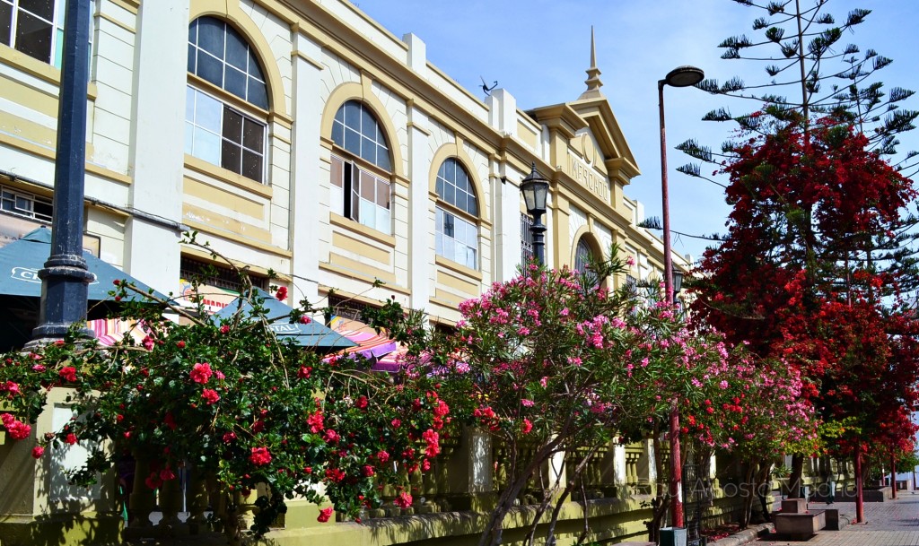 Foto: Mercado Central - Antofagasta, Chile