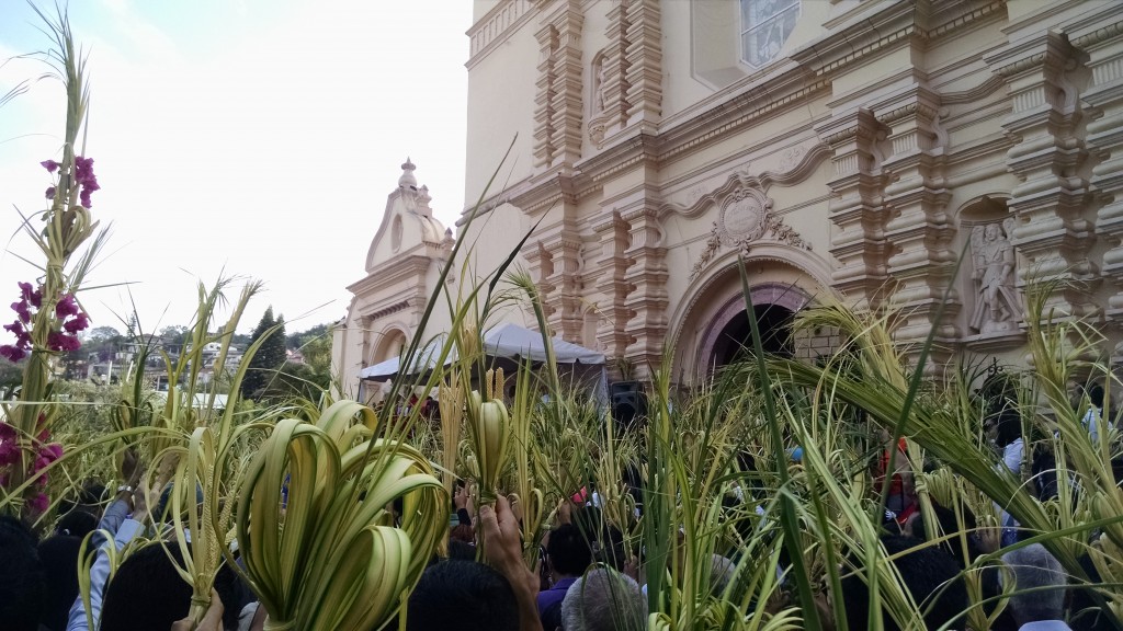 Foto: Domingo de Ramos - Tegucigalpa (Francisco Morazán), Honduras
