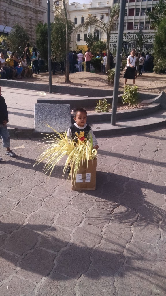 Foto: Domingo de Ramos - Tegucigalpa (Francisco Morazán), Honduras