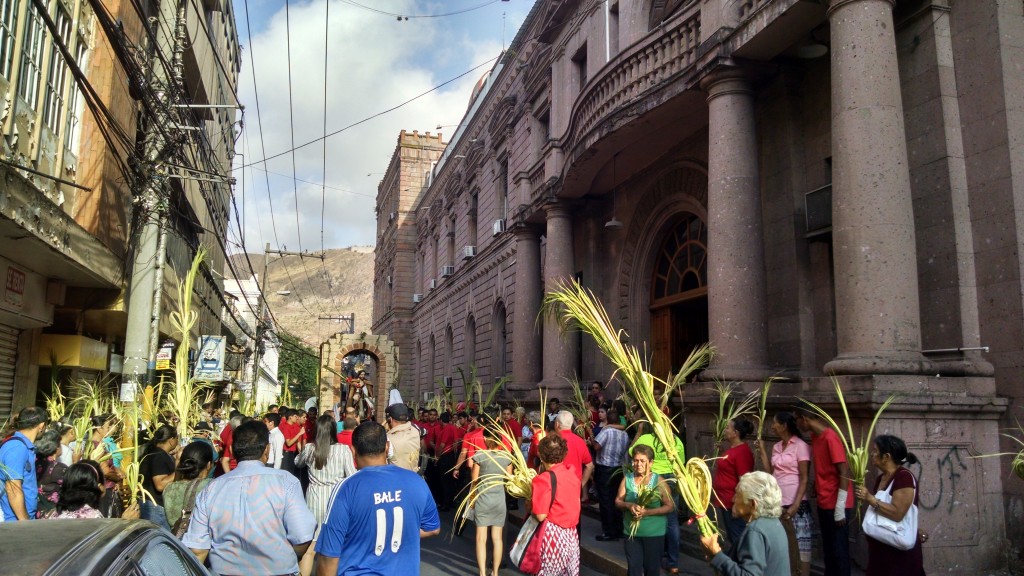 Foto: Domingo de Ramos - Tegucigalpa (Francisco Morazán), Honduras