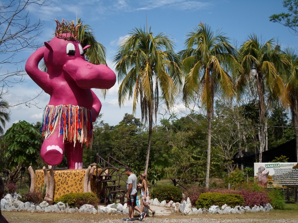 Foto: Hipopotamo - Doradal (Antioquia), Colombia