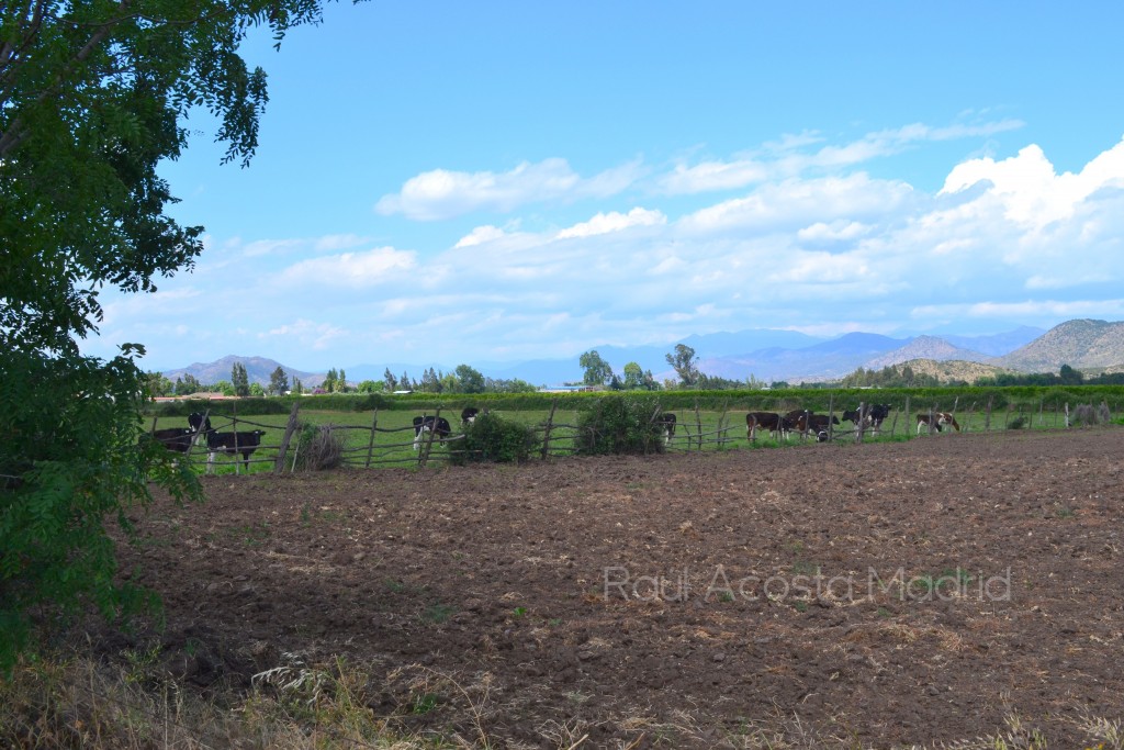 Foto de El Tambo (Libertador General Bernardo OʼHiggins), Chile