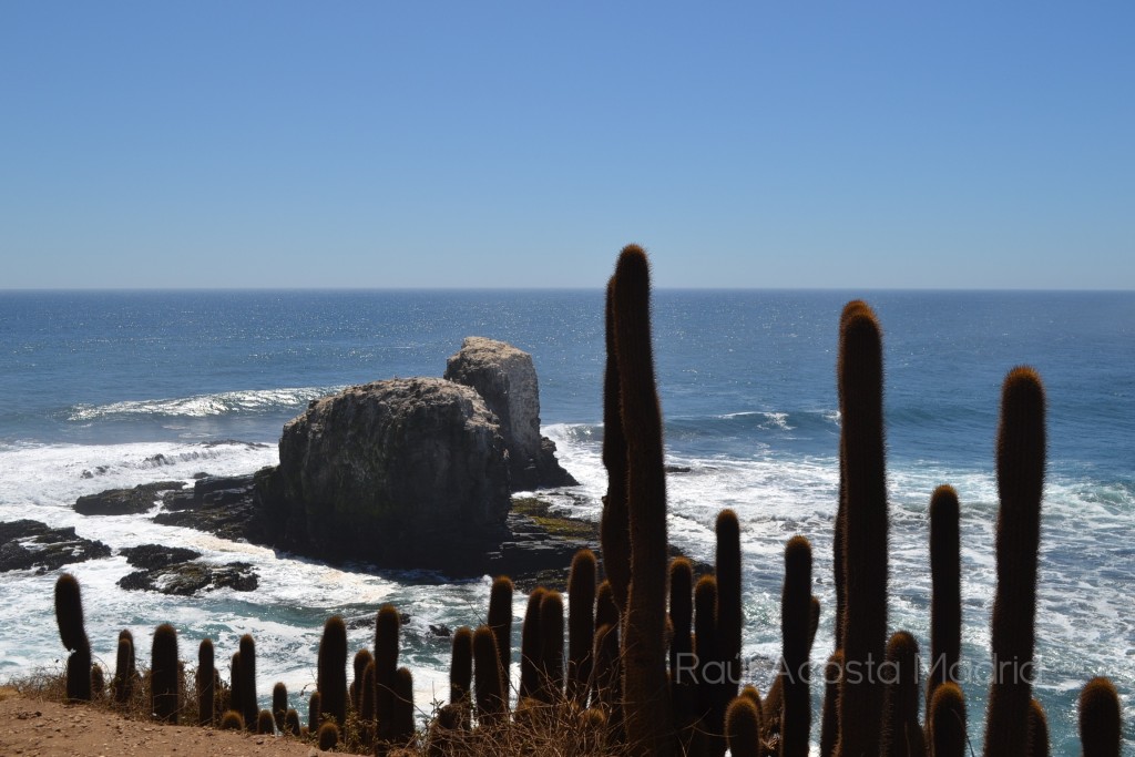 Foto de Bucalemu (Libertador General Bernardo OʼHiggins), Chile