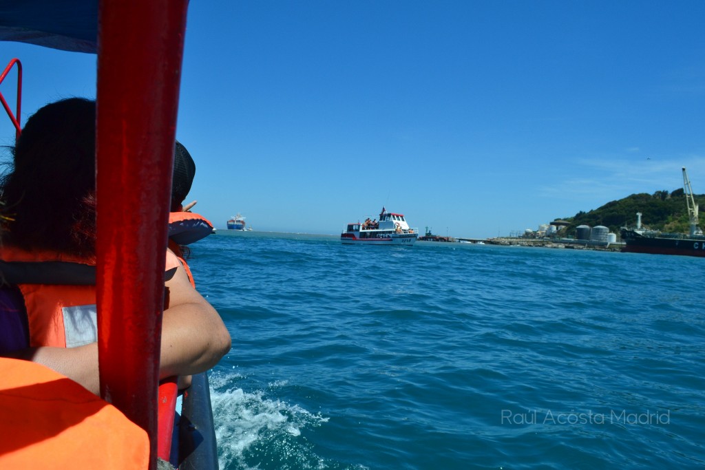 Foto de San Antonio (Valparaíso), Chile