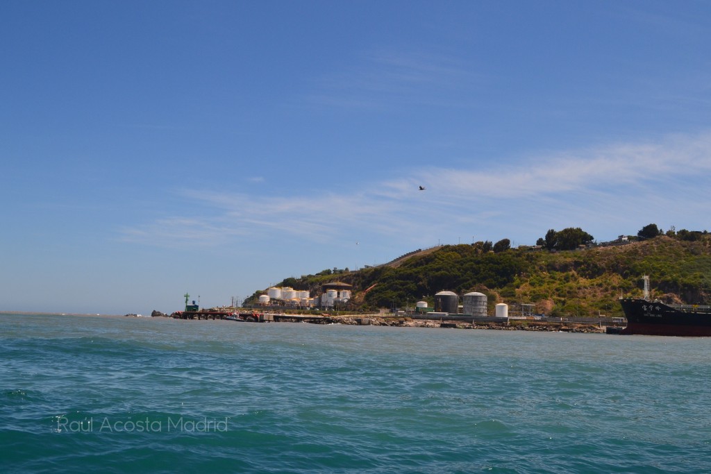 Foto de San Antonio (Valparaíso), Chile