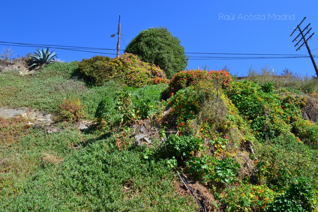 Foto de San Antonio (Valparaíso), Chile