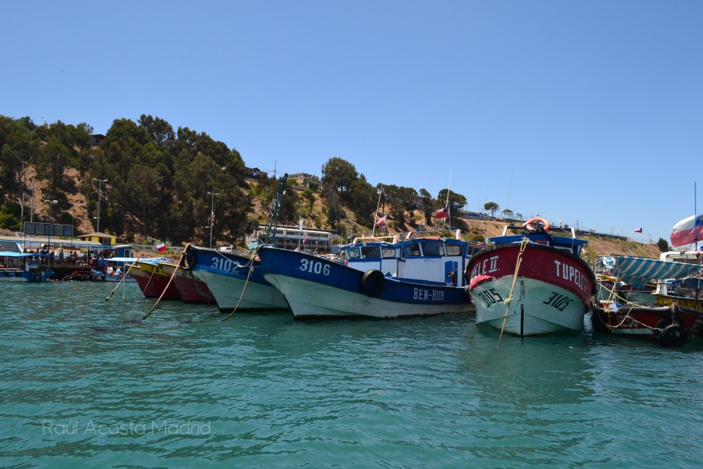 Foto de San Antonio (Valparaíso), Chile