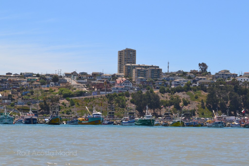 Foto de San Antonio (Valparaíso), Chile
