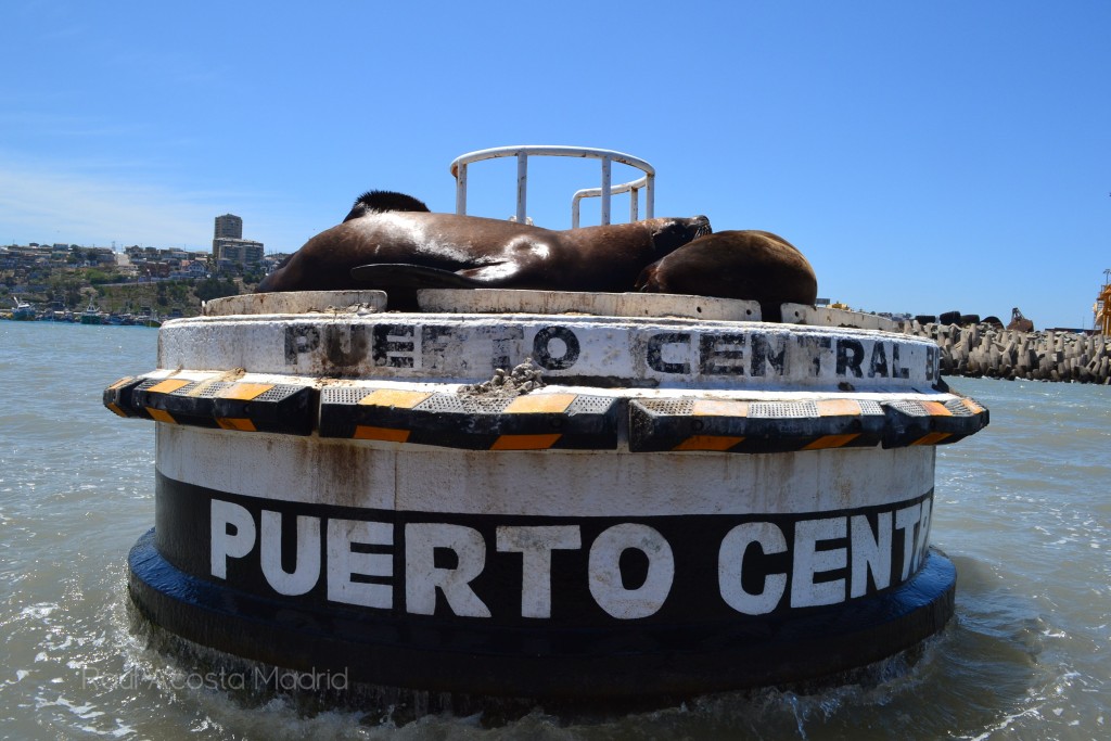 Foto de San Antonio (Valparaíso), Chile