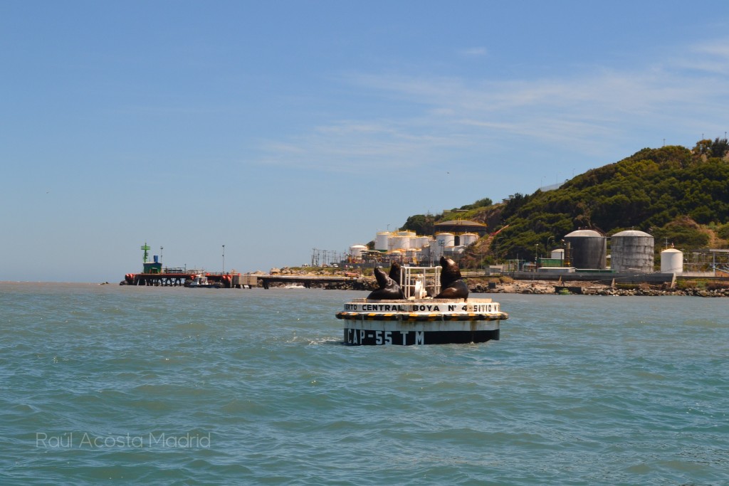 Foto de San Antonio (Valparaíso), Chile