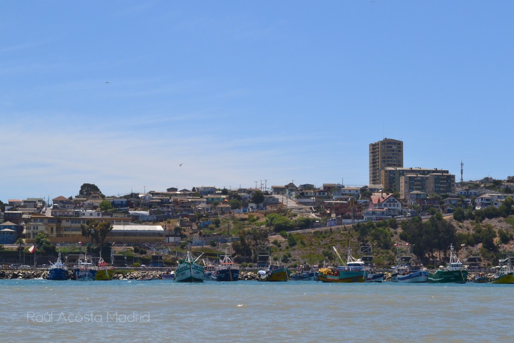 Foto de San Antonio (Valparaíso), Chile