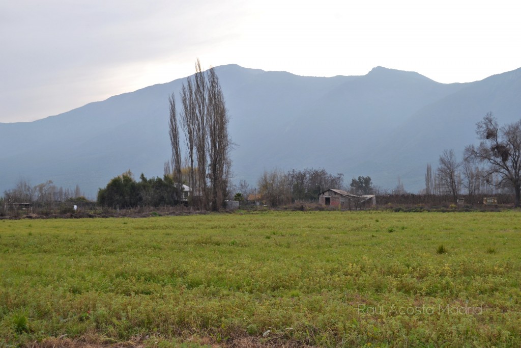 Foto de Lo Miranda (Libertador General Bernardo OʼHiggins), Chile