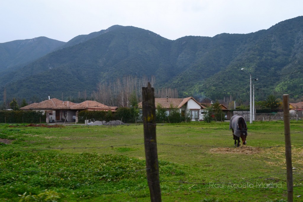 Foto de Lo Miranda (Libertador General Bernardo OʼHiggins), Chile