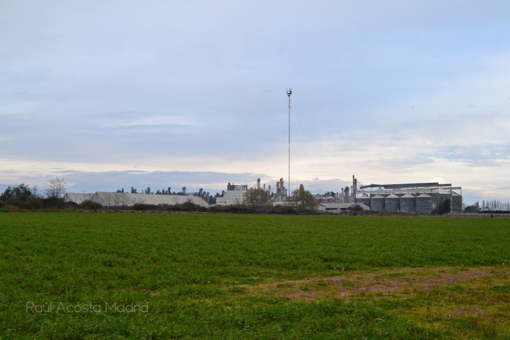 Foto de Lo Miranda (Libertador General Bernardo OʼHiggins), Chile