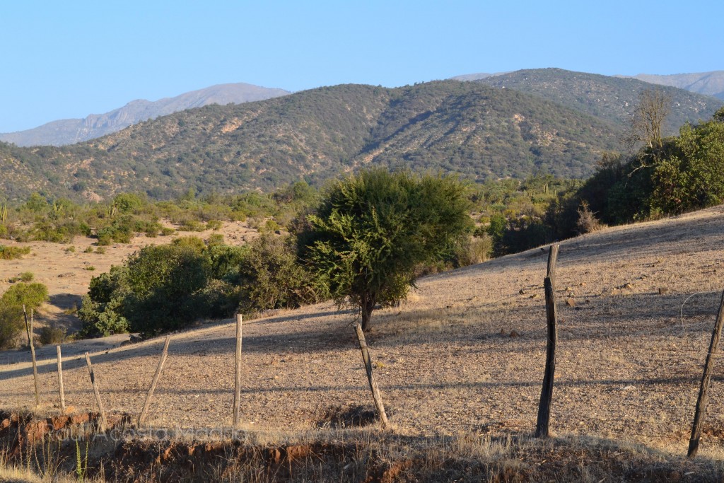 Foto de Alhué (Región Metropolitana), Chile
