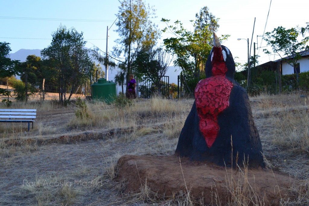 Foto de Alhué (Región Metropolitana), Chile