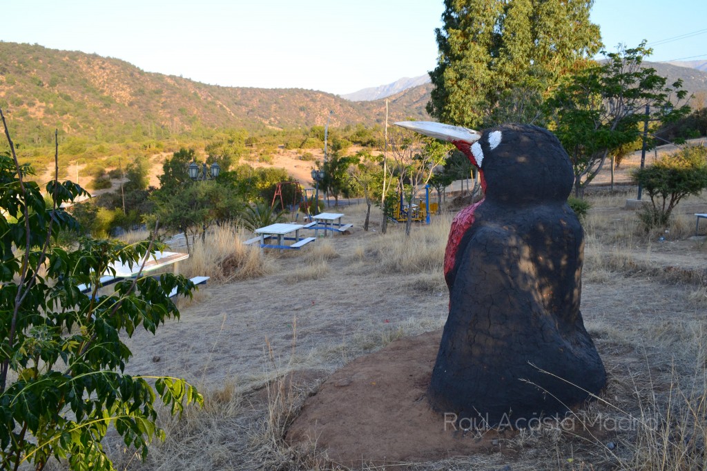 Foto de Alhué (Región Metropolitana), Chile