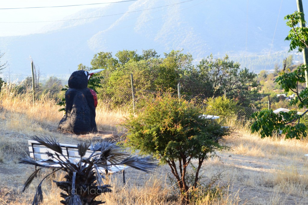 Foto de Alhué (Región Metropolitana), Chile